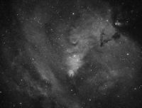 NGC2264 ha